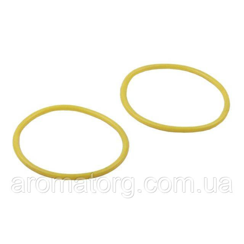 Манжети гільзи TT AGRO MOTO на дизельний двигун 195N, к-т: 2 шт.