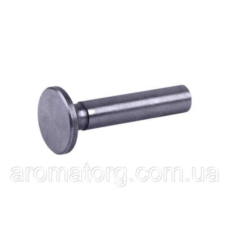 Штовхач клапана TT AGRO MOTO на дизельний двигун 2V188/192/195F
