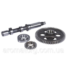 Розподіл у зборі TT AGRO MOTO на дизельний двигун 190N/195N