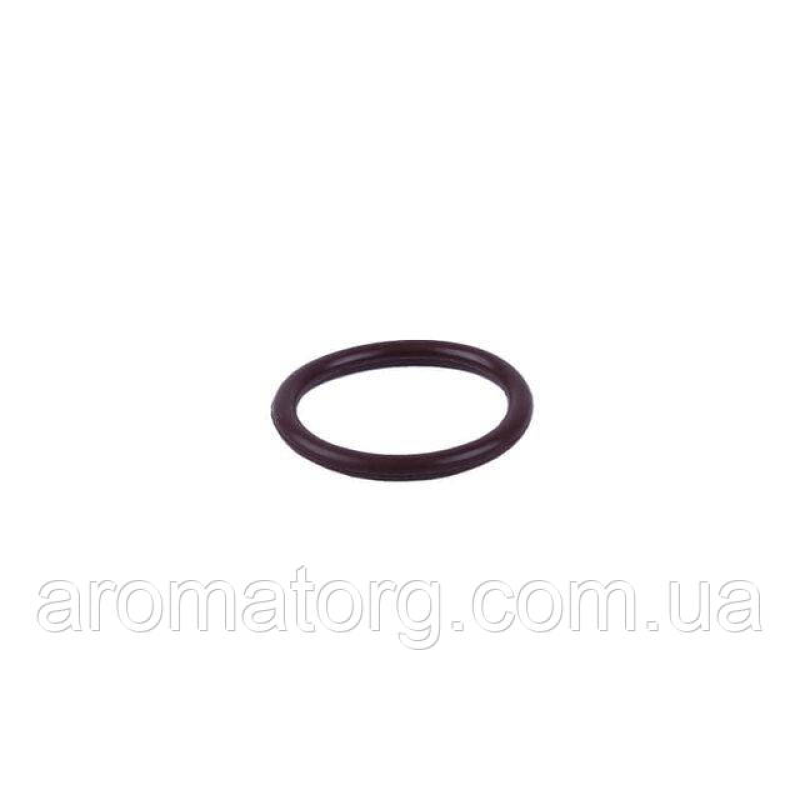 Кільце щупа ущільнювальне TT AGRO MOTO на дизельний двигун 2V188F/2V192F/195F