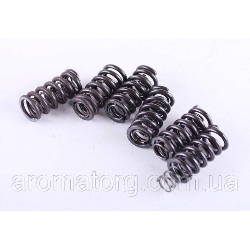 Пружини диска натискного TT AGRO MOTO MFC на дизельний мотоблок, к-т: 12 шт