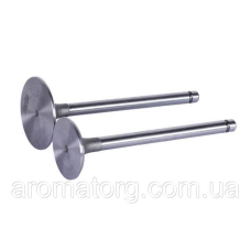Клапани TT AGRO MOTO на дизельний двигун ZH1125N, тип 2