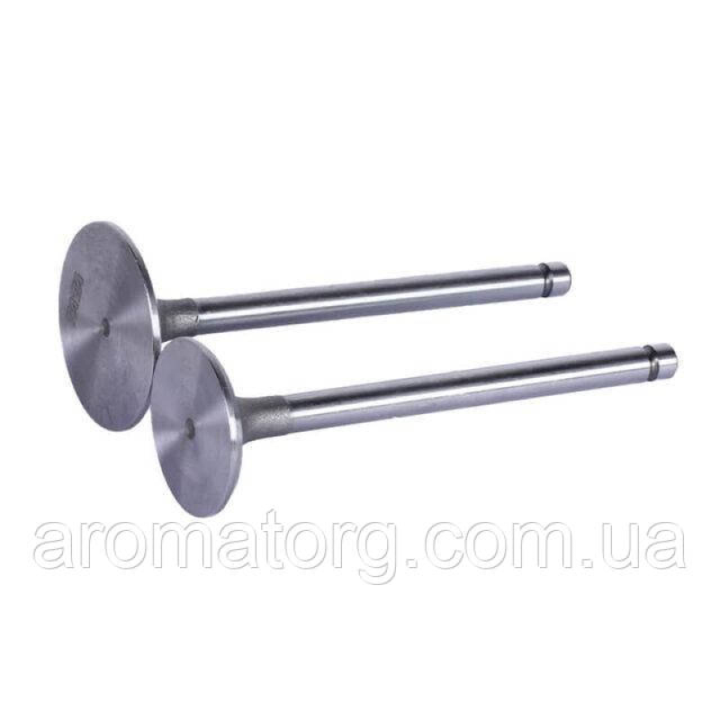 Клапани TT AGRO MOTO на дизельний двигун ZH1125N, тип 2
