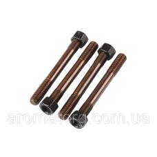 Шпильки кріплення головки + гайки TT AGRO MOTO на дизельний двигун 180N, к-т: 4 шт