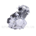 Двигун CB250 TT AGRO MOTO на мотоцикл, 165FMJ (з повітряним охолодженням, бензиновий)