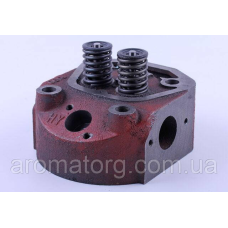 Головка циліндра в зборі TT AGRO MOTO 190N
