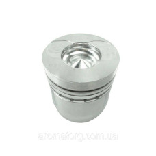 Поршень QC495T