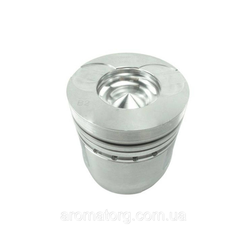 Поршень QC495T