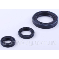 Сальники TT AGRO MOTO для дизельного двигуна 190N, к-т: 3 шт., 50*75*12; 30*45*8; 20*40*8